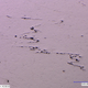 Image for article titled How rocket-makers ensure 3D printed parts are strong enough for space